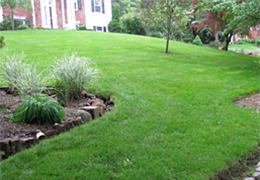 Organic Lawn Care Services in New Jersey