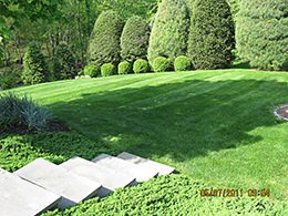 Organic lawn care in Chatham Township, New Jersey