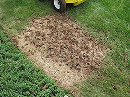 Lawn Aeration Services in New Jersery