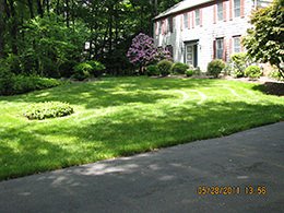 Organic Lawn Care Service in New Jersey