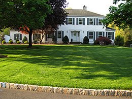 Organic Lawn Treatment & Lawn Care in New Jersey