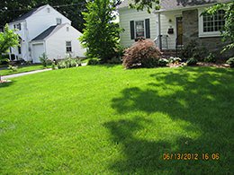 Organic Fertilizer and Lawn Care FAQs