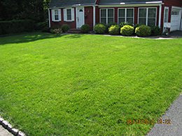 Organic Lawn Care Services in Berkeley Heights