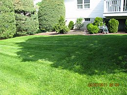 Chatham Organic Lawn Care Services