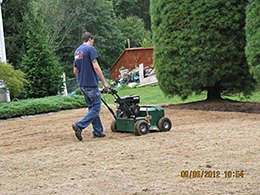 Lawn Repair & Organic Lawn Care