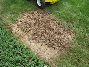 Grass Repair Services: Seeding and Lawn Aeration