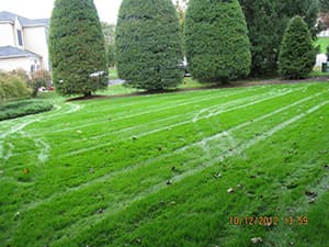 Soil Aeration for Lawn Repair