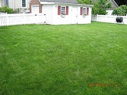 Organic Lawn Care Services in Westfields, NJ