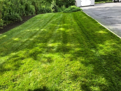 Chemical Free Lawn Treated Since 2014
